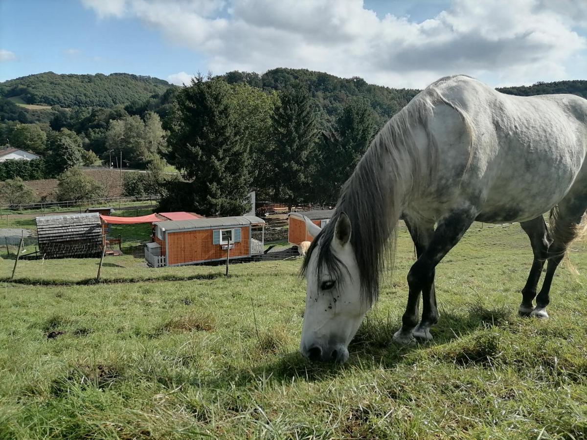 Zuruck Zur Natur - Urlaub Im Zirkuswagen, Sommeratelier Oder Schindelwagen Adenbach Extérieur photo