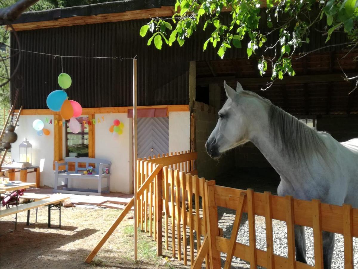 Zuruck Zur Natur - Urlaub Im Zirkuswagen, Sommeratelier Oder Schindelwagen Adenbach Extérieur photo