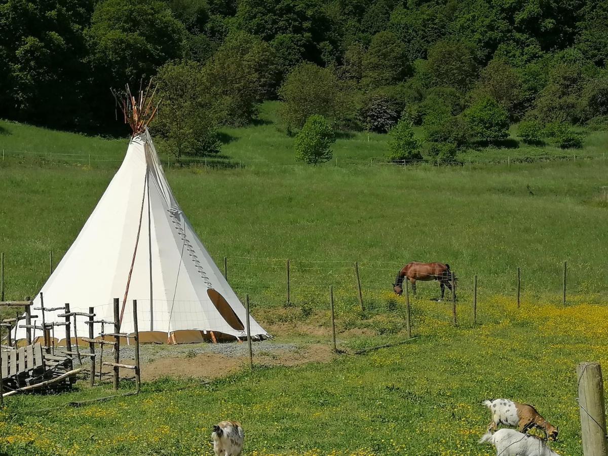 Zuruck Zur Natur - Urlaub Im Zirkuswagen, Sommeratelier Oder Schindelwagen Adenbach Extérieur photo