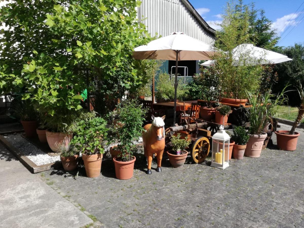 Zuruck Zur Natur - Urlaub Im Zirkuswagen, Sommeratelier Oder Schindelwagen Adenbach Extérieur photo